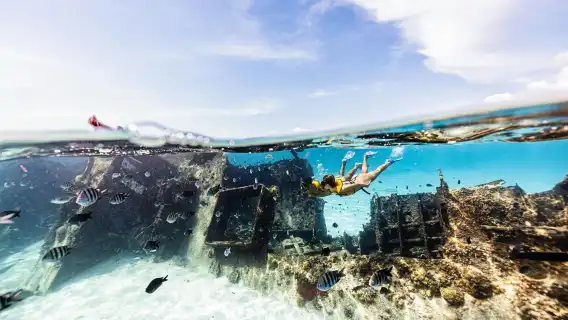 Snorkelling experience for non-swimmers in Cancun