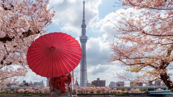 TokyoTours