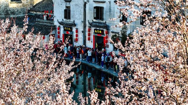 安徽宏村+木坑竹海+西遞一日遊+選中英俄導遊 EA