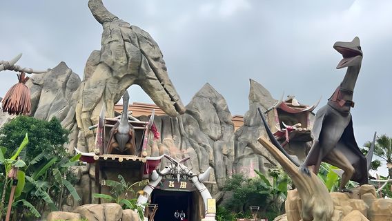 AnyueTours