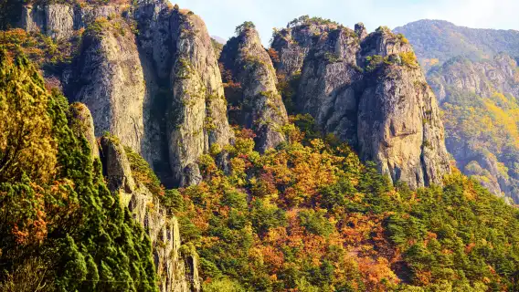 周王山國立公園 + 注山池水庫一日遊 (秋天賞楓 / 釜山出發)