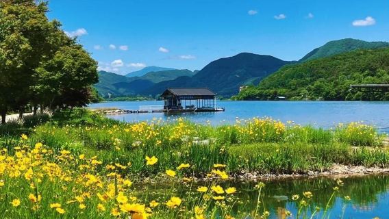 韓國首爾南怡島+江村鐵路主題公園+小法國村一日遊丨上門接駁