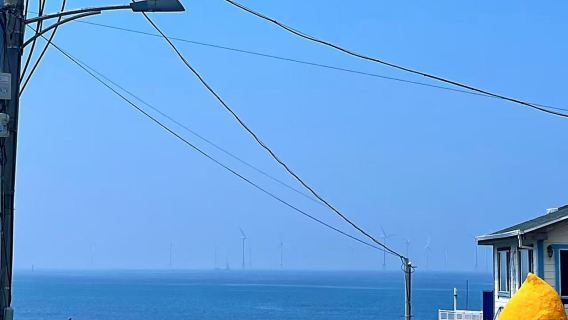 M1971追海豚+汽車博物館+挾才海水浴場一日遊【包車】