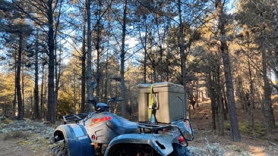 Knysna: Guided Quad Bike Tour in the Forest