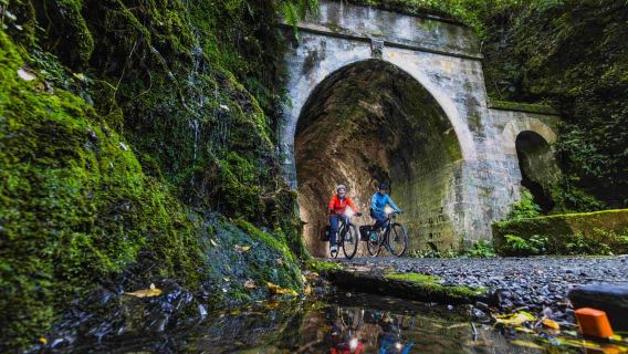 Excursión en bicicleta eléctrica por la costa del sendero ferroviario Remutaka para cruceros