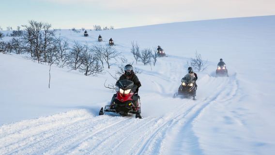 Alta: Safari có hướng dẫn trên xe trượt tuyết trên Finnmarksvidda kèm đồ ăn nhẹ