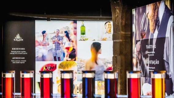 Porto: Tur Gudang Anggur Cálem, Pertunjukan Fado & Mencicipi Anggur