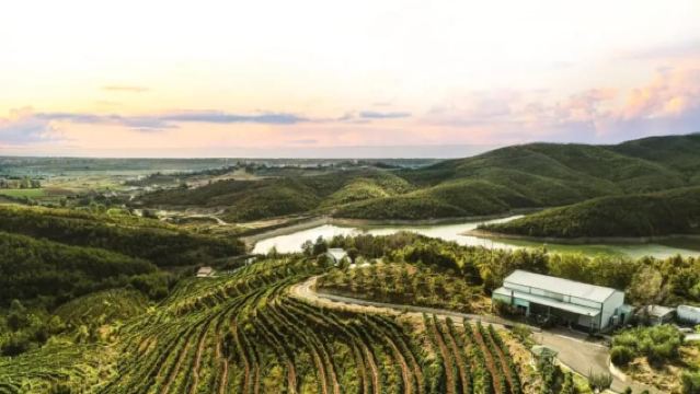 From Durres: Wine Tasting in Duka Winery