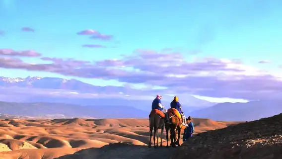 มาร์ราเกช: ทะเลทรายอากาเฟย์ ควอด, อูฐ หรือ สระว่ายน้ำ พร้อมอาหารกลางวัน