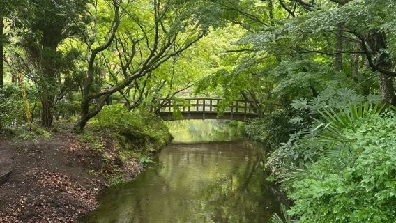 日本福岡來回由布院景點/可熊本別府大分九州多日綠牌包車-精選
