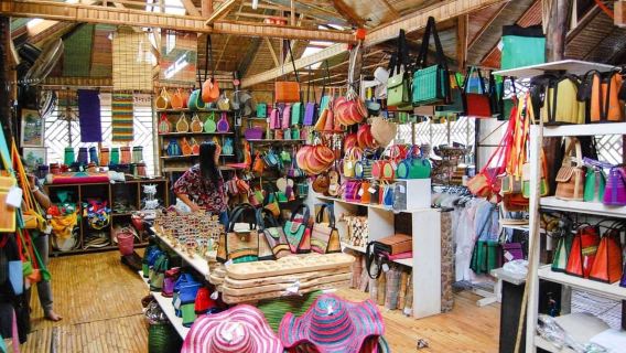 Shared Half City Tour with SPA