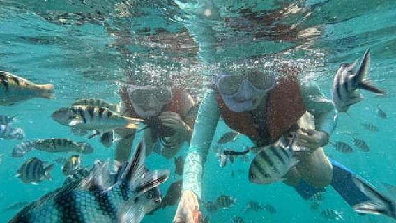 Bali: Snorkeling Blue Lagoon, Air Terjun, dan Perkebunan