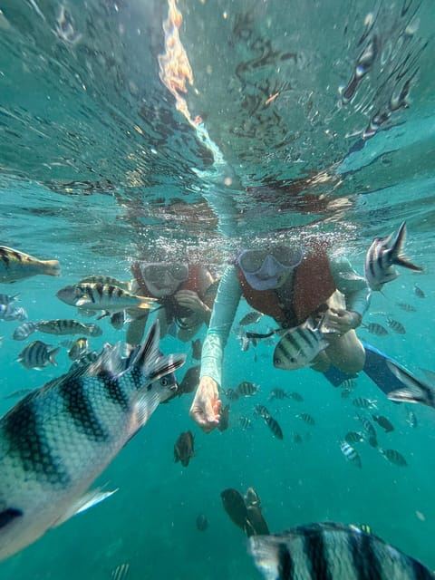 Bali: Snorkeling Blue Lagoon, Air Terjun, dan Perkebunan