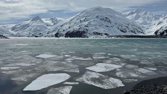 Anchorage: Turnagain Arm Scenic Winter Tour bersama Pemandu