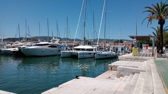 Da Palma: tour mattutino in barca di 3 ore per osservare i delfini