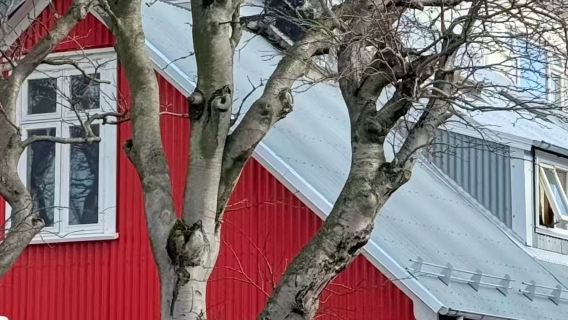 冰島雷克雅未克冰河湖+鑽石冰沙灘一日遊/行程可調-可定制多日