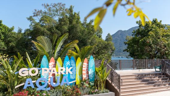 Experiencia de descubrimiento ecológico en el pueblo pesquero de Tai Po en Shing Chung