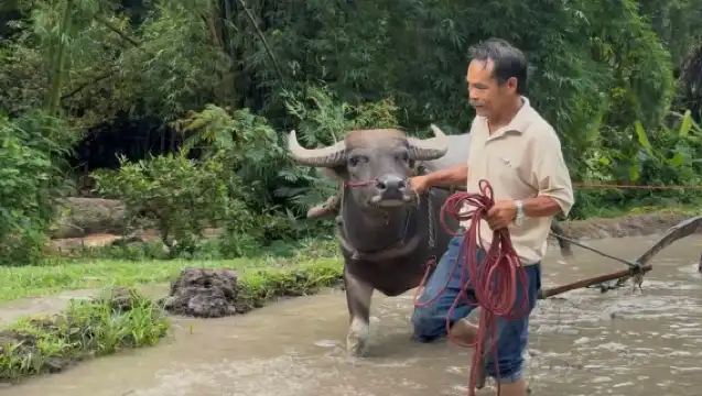 梅沙山谷農場住宿度假村 - 有機農場沉浸體驗 半日/全日農場生活探索