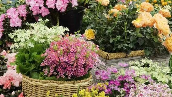 中国広州 中国語—スペイン語翻訳 購買アシスタント|ショッピングガイド 及び ビジネスガイドサービス【プライベートプランカスタマイズ可】