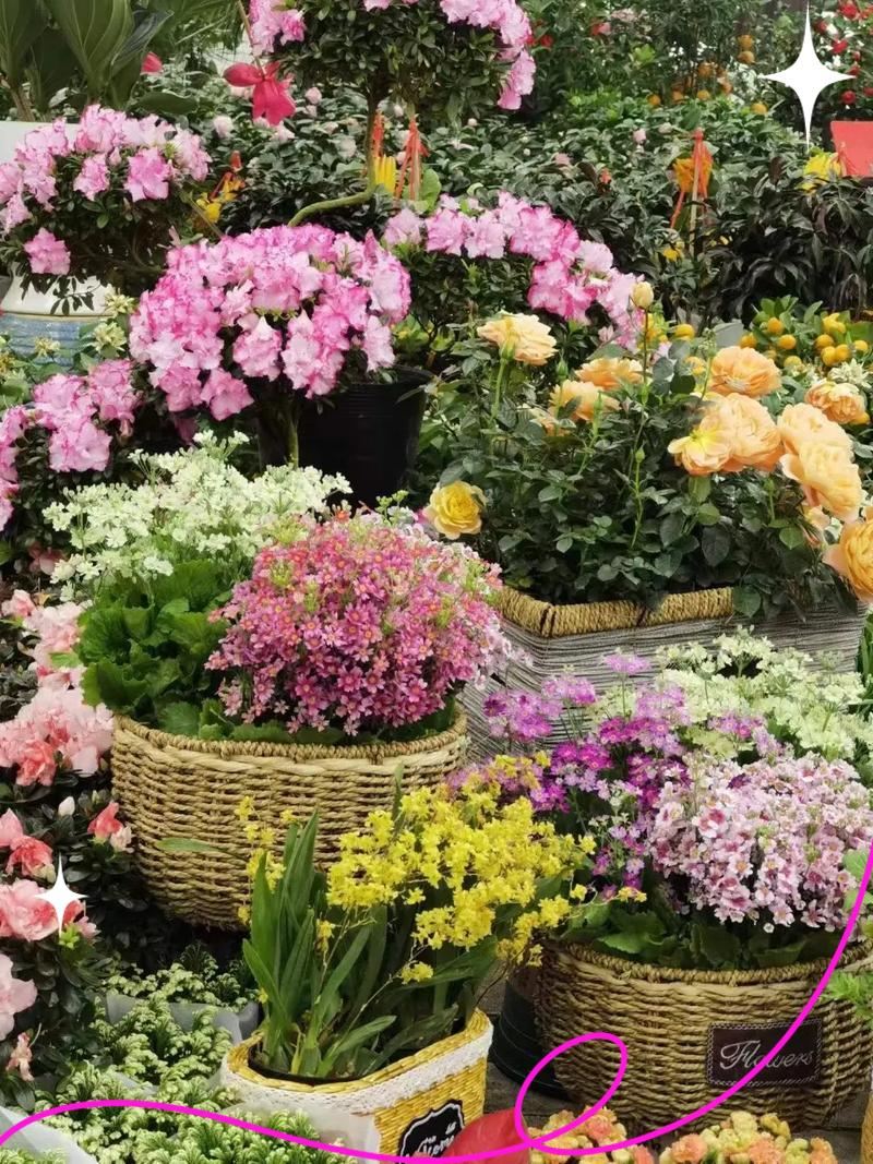 Guangzhou, China Chinese-Spanish Translation Procurement Assistant|Shopping guide and business guide services [customizable private itinerary]