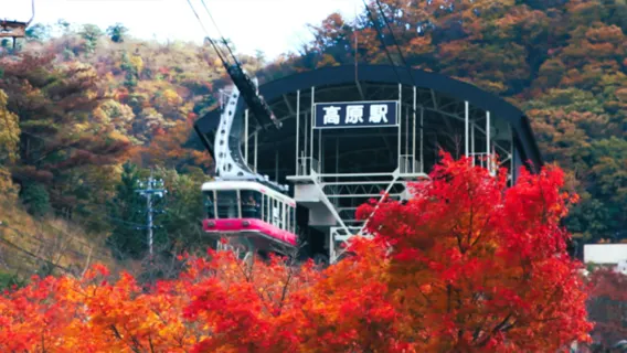 Excursión de un día al Santuario Dazaifu Tenmangu en Ōita, teleférico de Beppu y lago Kinrin en Yufuin