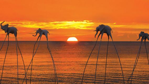 Pengalaman Memancing Cumi-cumi Phu Quoc + pemandu wisata Berbahasa Inggris + Peralatan Memancing + Pelayaran Matahari Terbenam