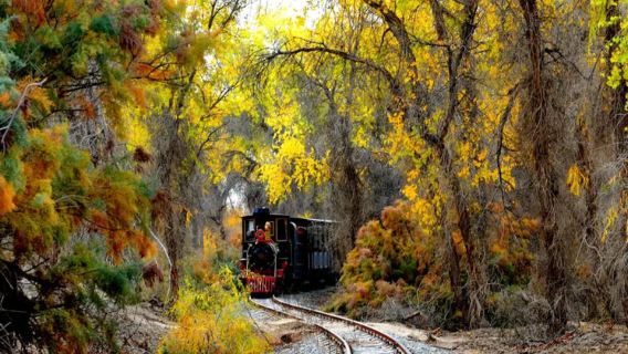 1日穿越金色童話！（庫爾勒出發·塔里木胡楊林）+沙漠公路秘境