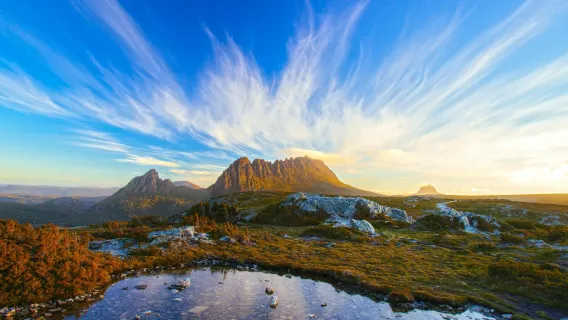 Tur Kota Mural Cradle Mountain & Sheffield (Tasmania, Australia) [Termasuk Transportasi Kota]
