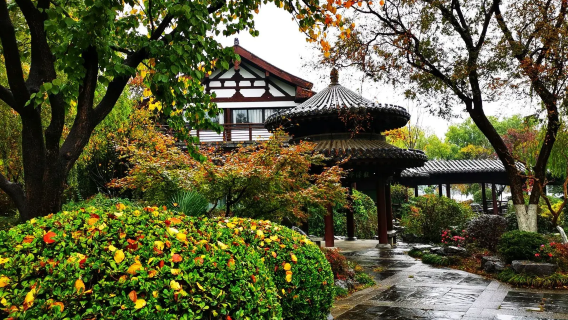 Nanjing Buddhist Heritage Tour: Grand Baoen Temple Heritage and Scenic Area + Xuanwu Lake Scenic Area