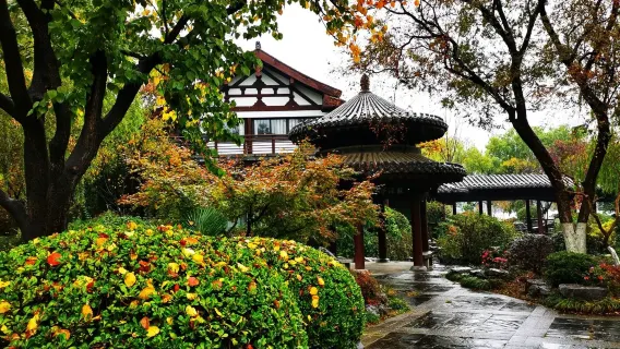 [Viaggio nella tradizione buddista di Nanchino] Sito archeologico del Tempio di Bao'en + Attrazione del Lago Xuanwu