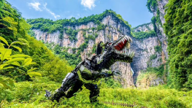 武隆天生三橋+龍水峽地縫一日遊【包括導遊+午餐+商圈接駁】