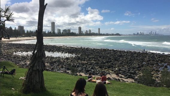 【萌寵互動＋伯利角・危險角・彩虹灣】黃金海岸周邊一日漫遊