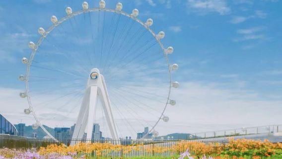 私人小團上門接駁|深中通道+歡樂港灣+深圳博物館一日遊