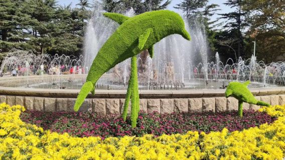 【青島*一日包車遊】八大關+中山公園+啤酒博物館+台東徒步區