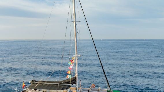 Teneriffa: 3-stündige Wal- und Delfinbeobachtungstour