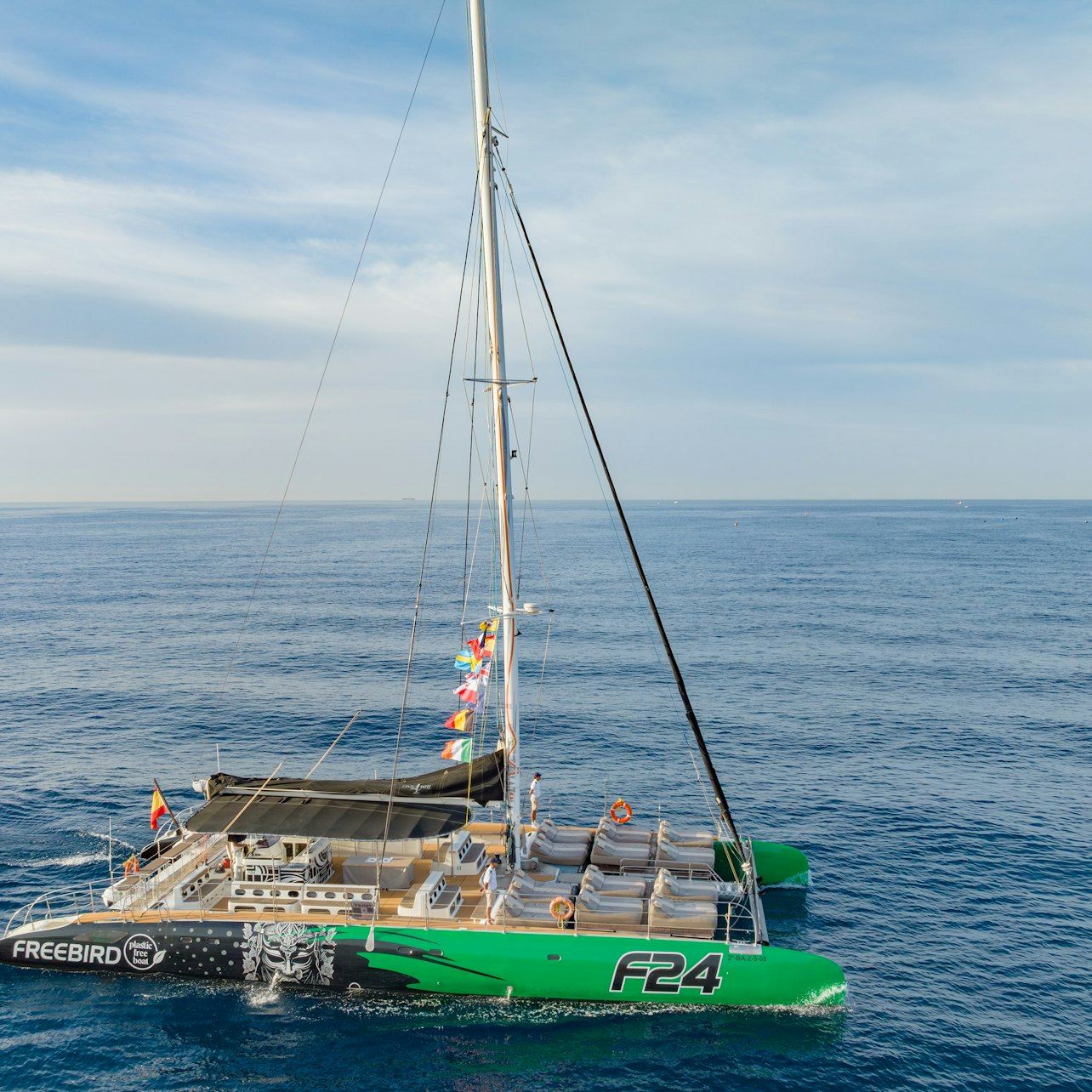 Tenerife: Tour de 3 horas de avistamiento de ballenas y delfines
