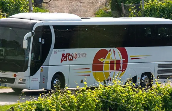 威尼斯：Barzi服務特雷維索機場(TSF)巴士接送