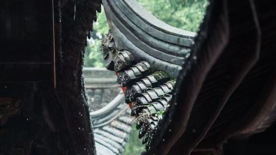 Chengdu Wenshu Monastery|Panda Valley|Dujiangyan|South Bridge Blue Tears (Night View) 1-day private charter tour