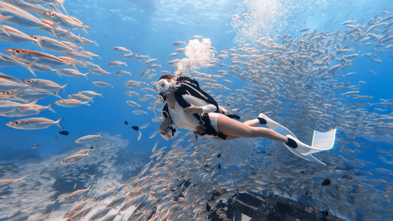 Phuket professional scuba diving boat: 1-day tour (2 islands, 3 dives)|Scuba diving available without certification|(including underwater photography)