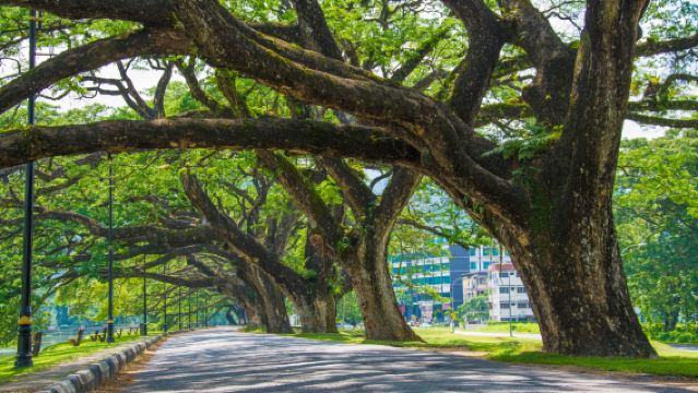 Lawatan sehari dari Pulau Pinang ke Tasik Taiping + Lorong Panglima Ipoh + Tokong Gua Perak + Taman Rekreasi Gunung Lang