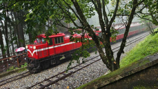 台灣嘉義｜阿里山拼車一日接駁