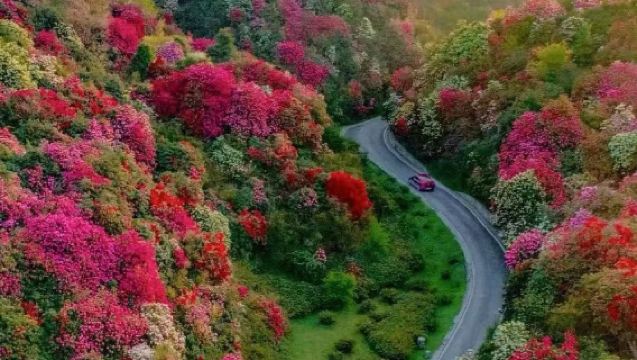 Lawatan Sehari ke Biji Baili Dujuan + Bandar Purba Qingyan (Pengangkutan Pintu ke Pintu - Perjalanan Bebas)