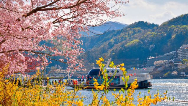 Nami Island + The Garden of Morning Calm One Day Tour (From Seoul)