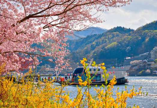 Nami Island + The Garden of Morning Calm One Day Tour (From Seoul)