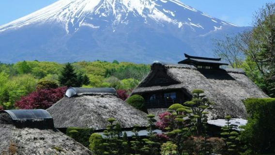 Monte Fuji, Oshino Hakkai e Gotemba Premium Outlets: Tour Guidato in Autobus da Tokyo