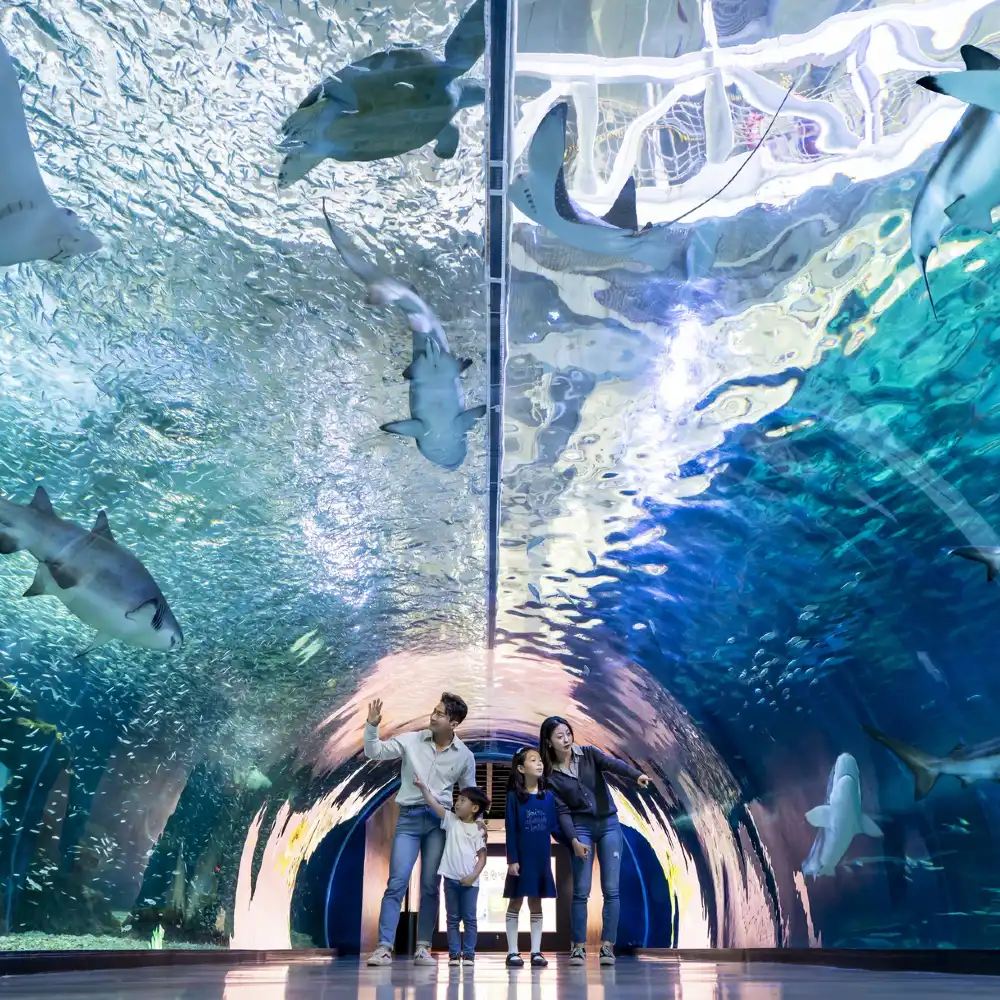 済州島アクアプラネット水族館入場チケット【外国人旅行者限定割引