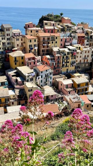 Florence round-trip: Cinque Terre private chartered tour [admission ticket not included]