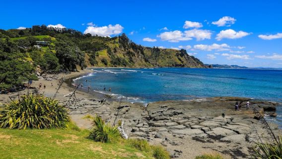New Zealand Auckland pergi-balik: Dunia Kambing Domba + Pulau Kambing lawatan sewa peribadi [Tidak Termasuk tiket masuk]