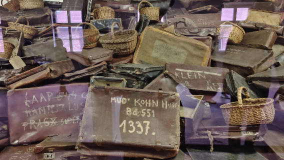 [12 Jam di Krakow, Poland] Kem Konsentrasi Auschwitz + Lombong Garam Wieliczka (Tidak termasuk tiket)