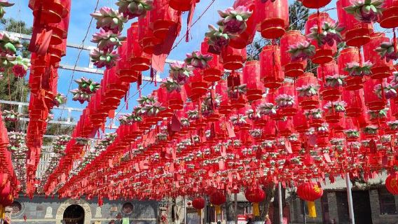 Suzhou, China + Wuxi Zoo + Aquarium [Adjustable itinerary] M